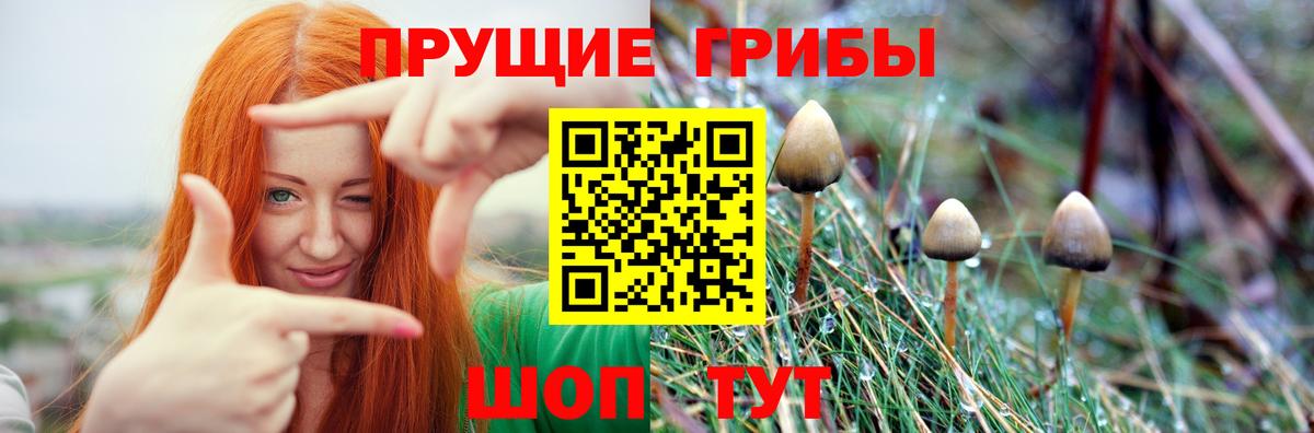 Кыштым  Галлюциногенные грибы Cubensis  Вход с VPN 